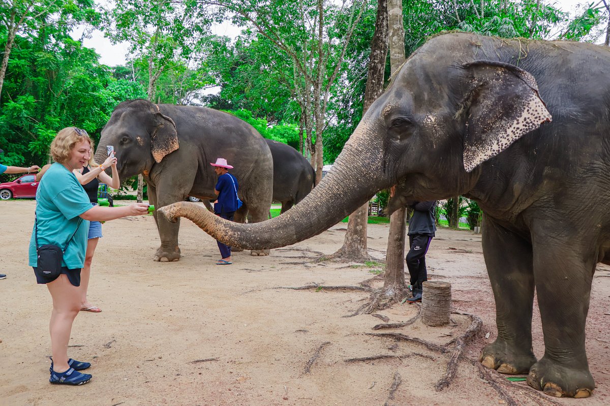 Green Elephant Sanctuary Park